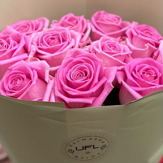 11 рожевих троянд – доставка квітів у Дрезден