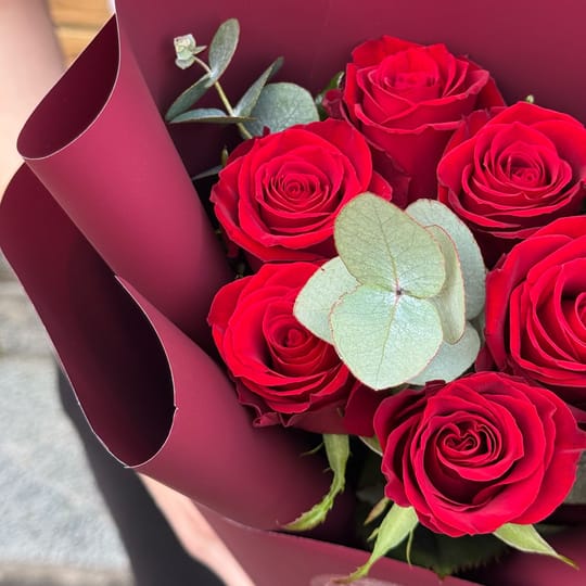 7 красных роз  – доставка цветов в Ашкелон