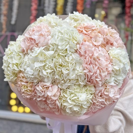 Ніжна хмара гортензій  – доставка квітів у Кассис