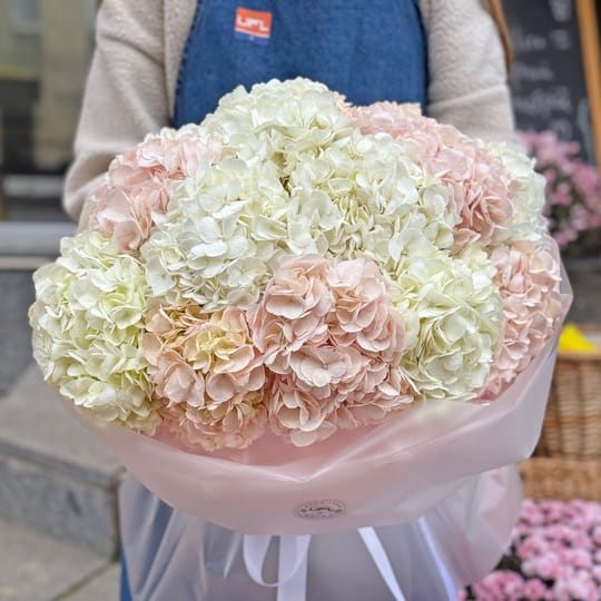 Ніжна хмара гортензій  – доставка квітів у Кассис