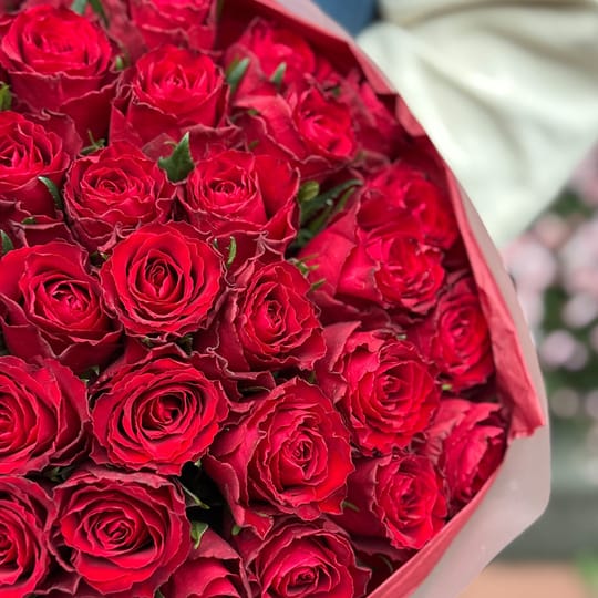 51 червона троянда Кенія – доставка квітів у Виноградар