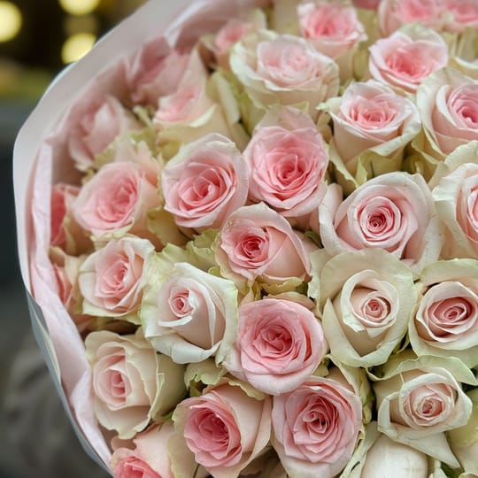 51 рожева троянда Кенія – доставка квітів у Виноградар