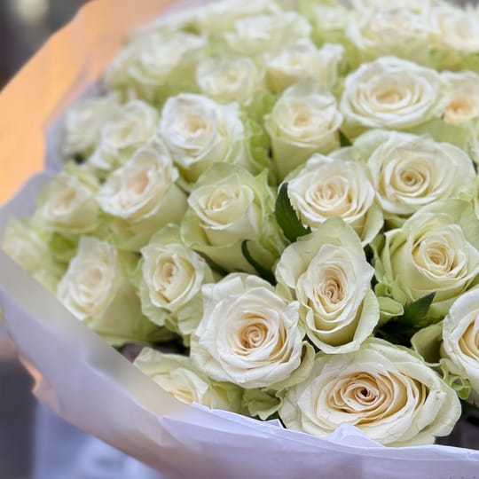 51 біла троянда Кенія – доставка квітів у Виноградар