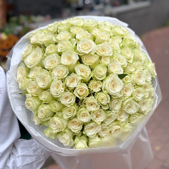 101 біла троянда Кенія – доставка квітів у Виноградар