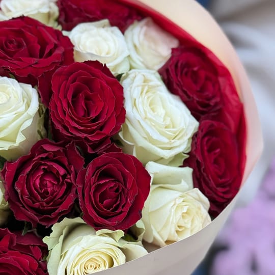 25 червоних і білих троянд Кенія – доставка квітів у Виноградар