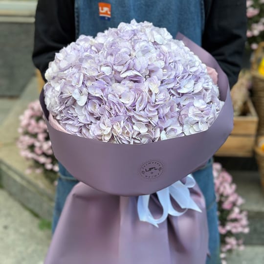 Букет фіолетових гортензій – доставка квітів у Шаффгаузен
