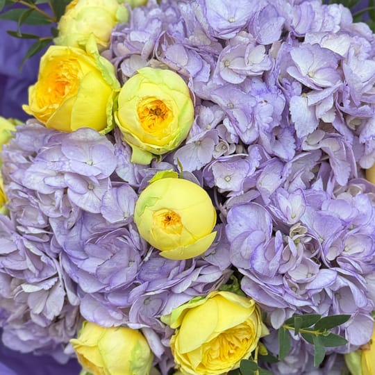 Лавандовий ранок – доставка квітів у Ліверпуль