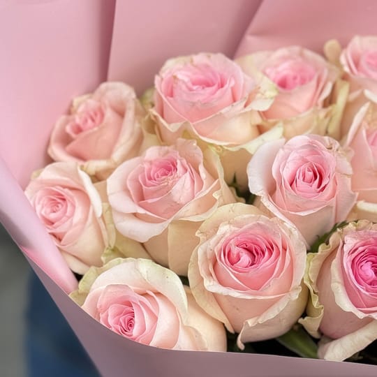 15 pink roses Kenia – flower delivery in Korop
