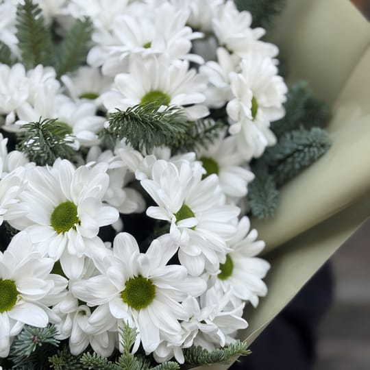 Подих зими – доставка квітів у Жирова