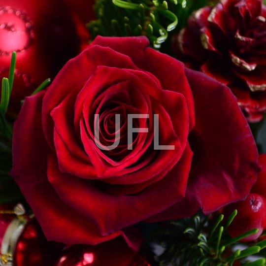 Arrangement Christmas surprise – flower delivery in Kyiv (Kiev)