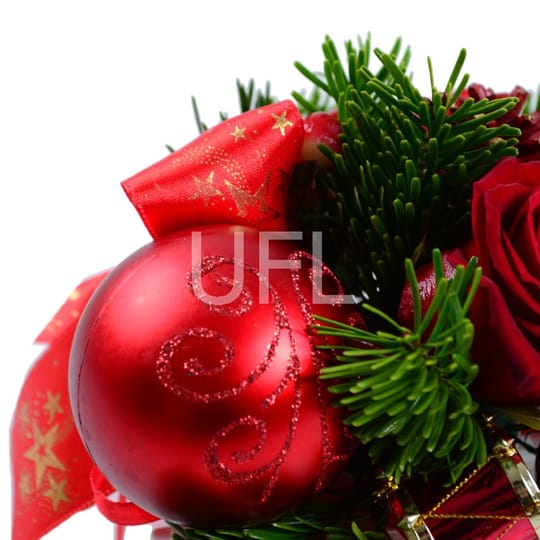 Arrangement Christmas surprise – flower delivery in Kyiv (Kiev)
