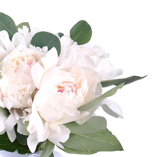 Букет из местных пионов Нежность лепестков – доставка цветов в Киев