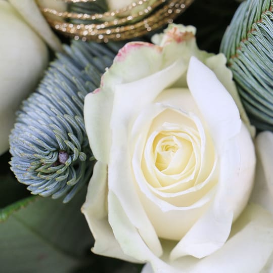 Снежинка – доставка цветов в Смела