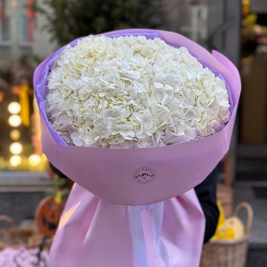 Букет белых гортензий – доставка цветов в Шаффхаузен