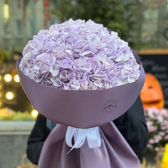 Букет фіолетових гортензій – доставка квітів у Шаффгаузен