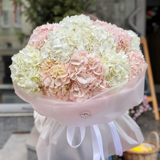 Ніжна хмара гортензій  – доставка квітів у Кассис