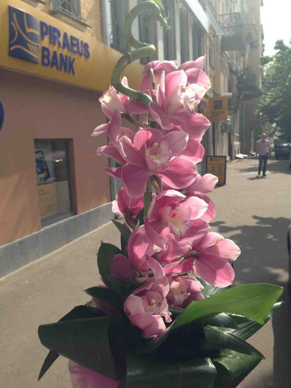 Фото доставок · Город не указан