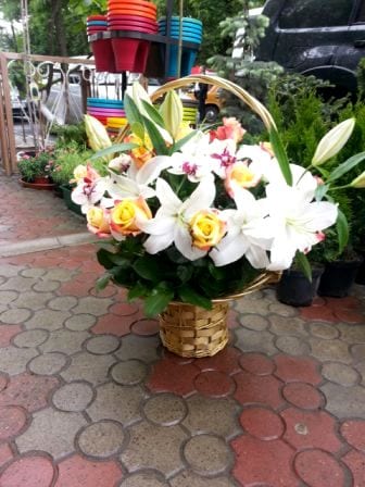 Фото доставок · Город не указан
