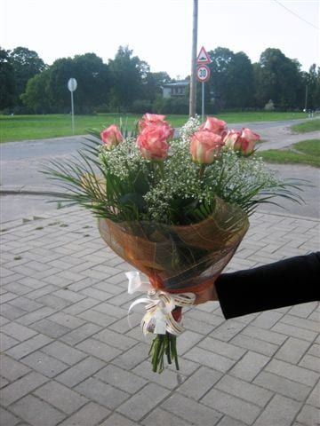 Delivery photos · Riga
