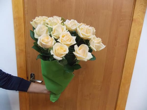 Delivery photos · Cherkassy