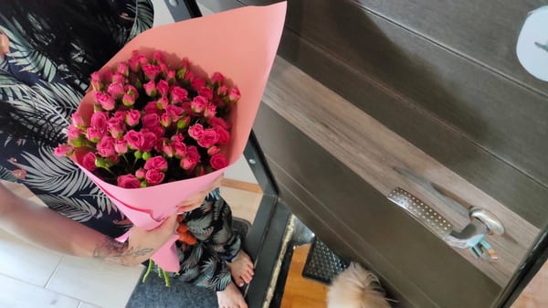 Delivery photos · Dnipro
