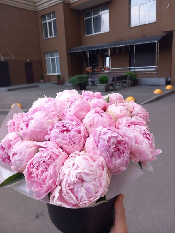 Фото доставок · Киев