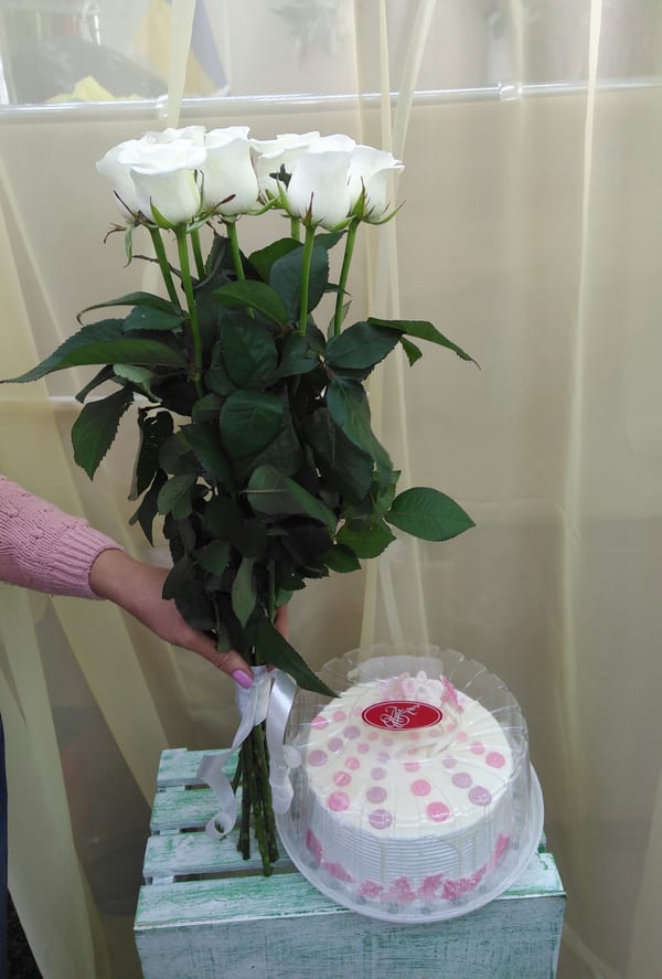 Delivery photos · Kramatorsk