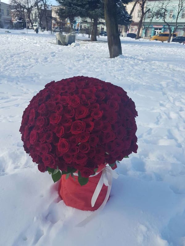 Фото доставок · Львов