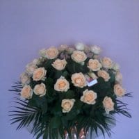 Delivery photos · Mariupol (delivery currently not available)