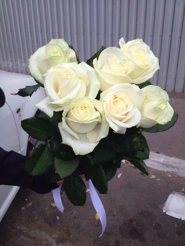 Delivery photos · Mariupol (delivery currently not available)