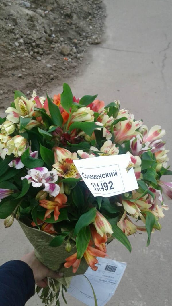 Фото доставок · Миколаїв