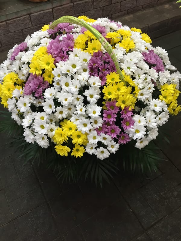 Delivery photos · Samar