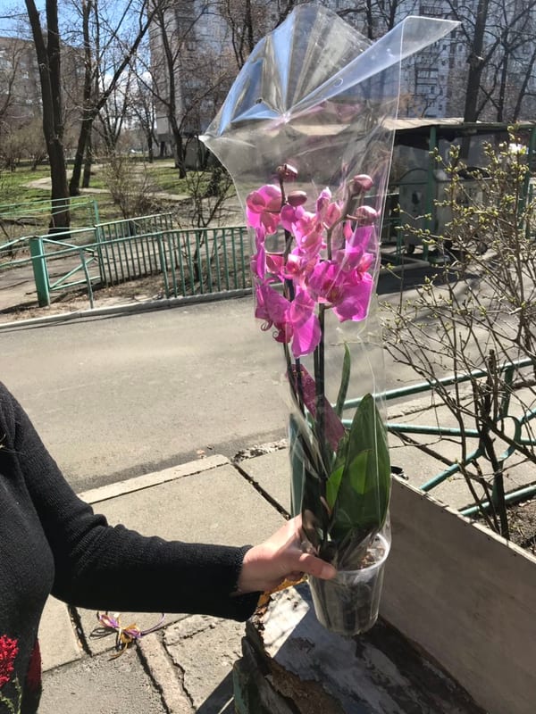 Фото доставок · Оболонский район