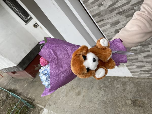Delivery photos · Odessa
