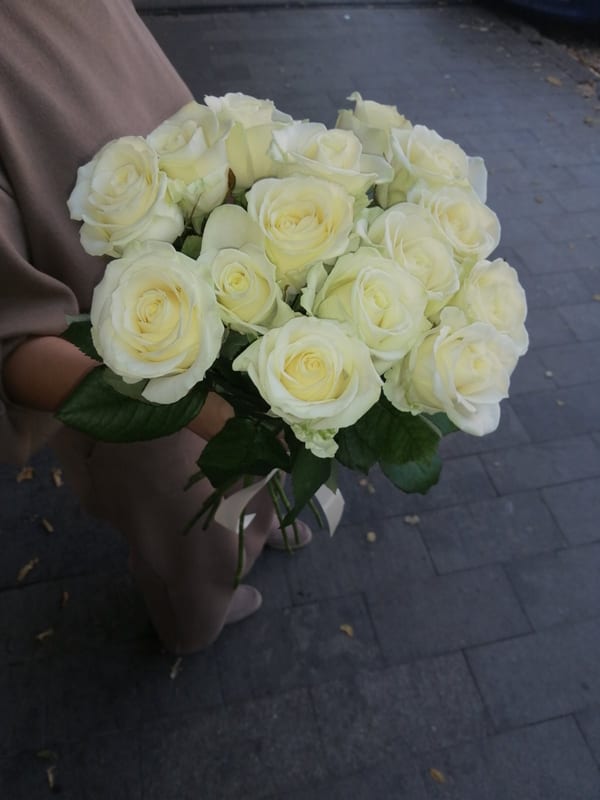Delivery photos · Odessa