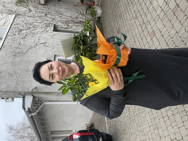 Delivery photos · Odessa