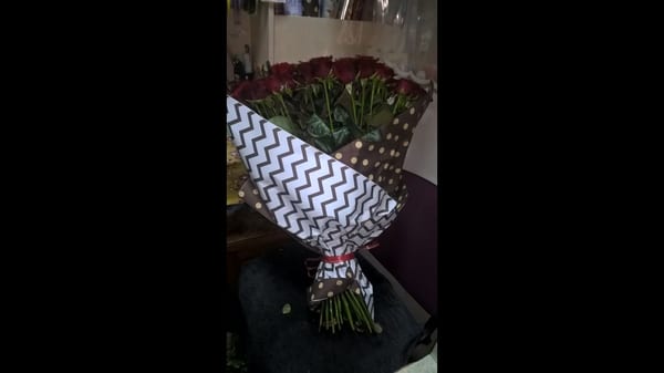 Delivery photos · Pavlograd