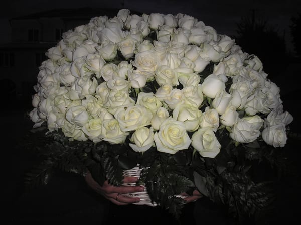 Delivery photos · Podvolochisk