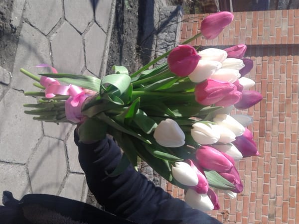 Delivery photos · Poltava