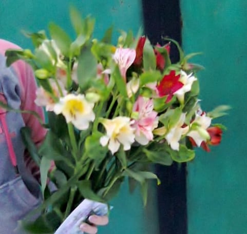 Delivery photos · Slavyansk