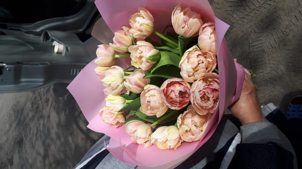 Delivery photos · Slavyansk