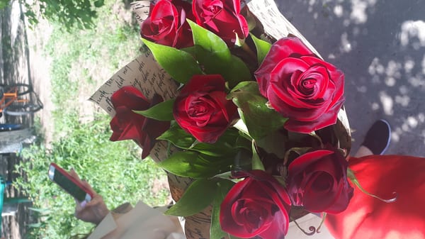 Delivery photos · Slavyansk