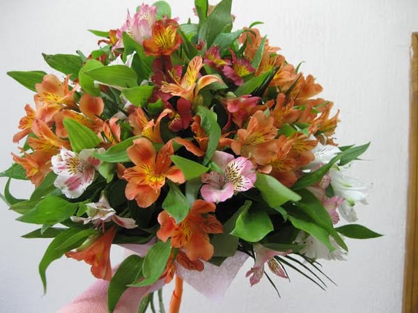 Delivery photos · Sumy