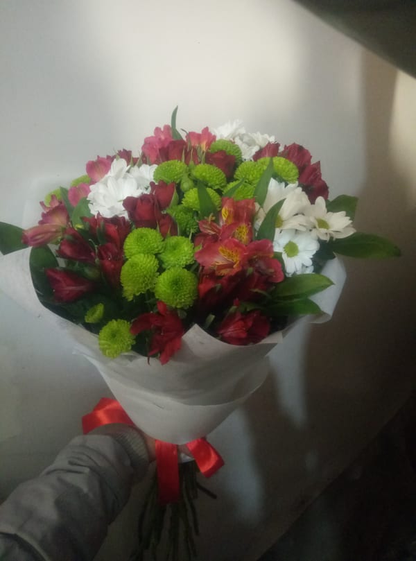 Delivery photos · Terebovlia