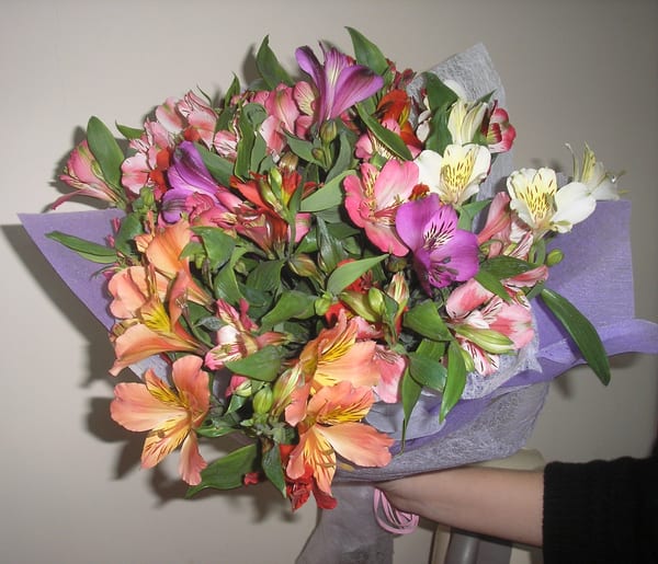 Delivery photos · Ternopol