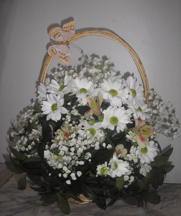 Delivery photos · Ternopol