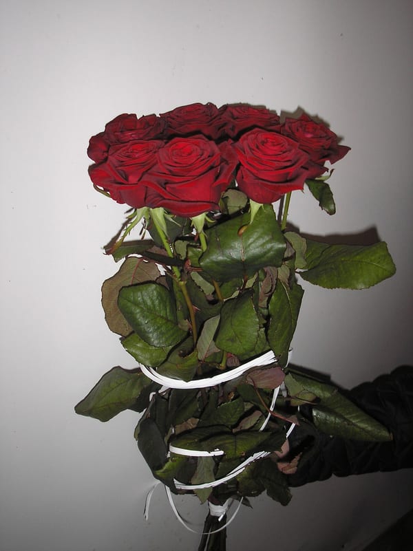 Delivery photos · Ternopol