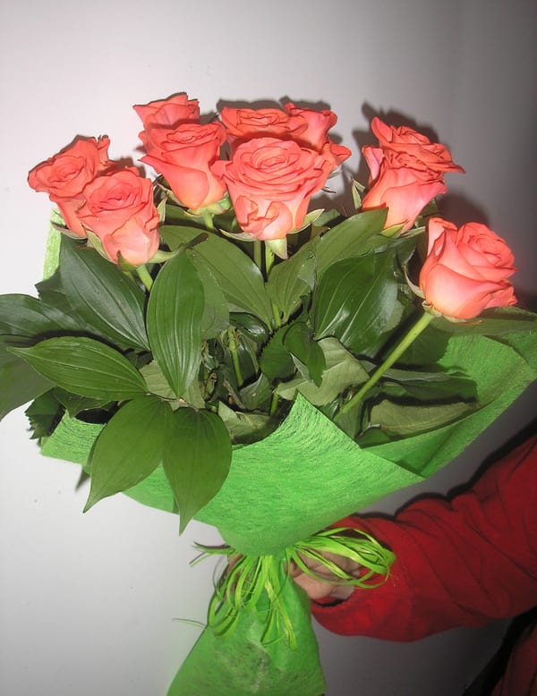 Delivery photos · Ternopol