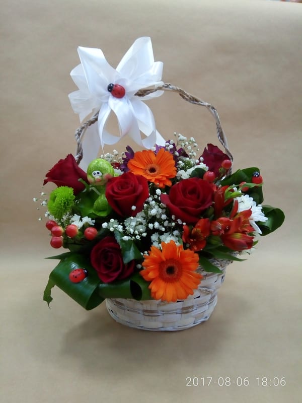 Delivery photos · Oleshky (former Tsurupinsk)