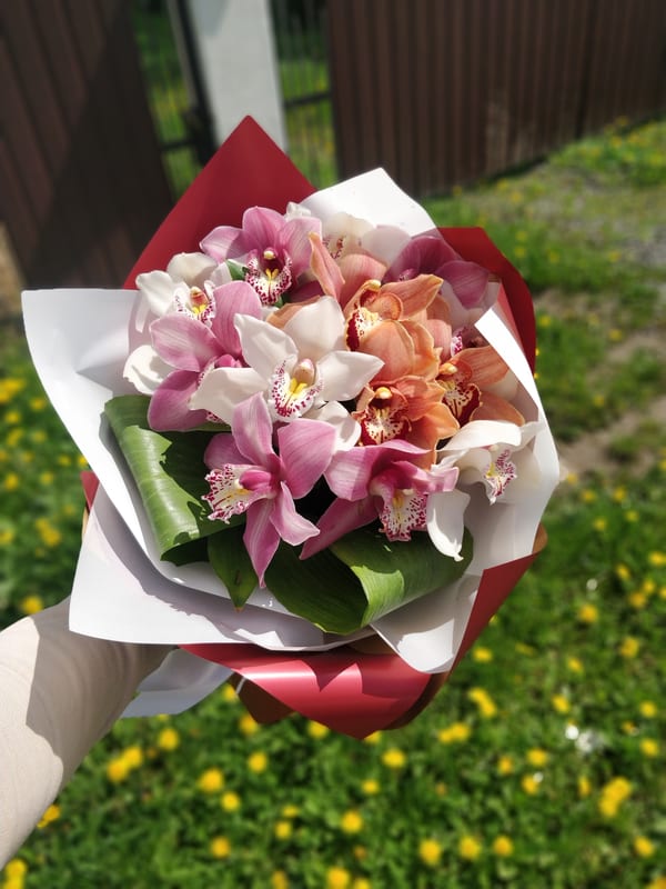 Delivery photos · Uzhgorod